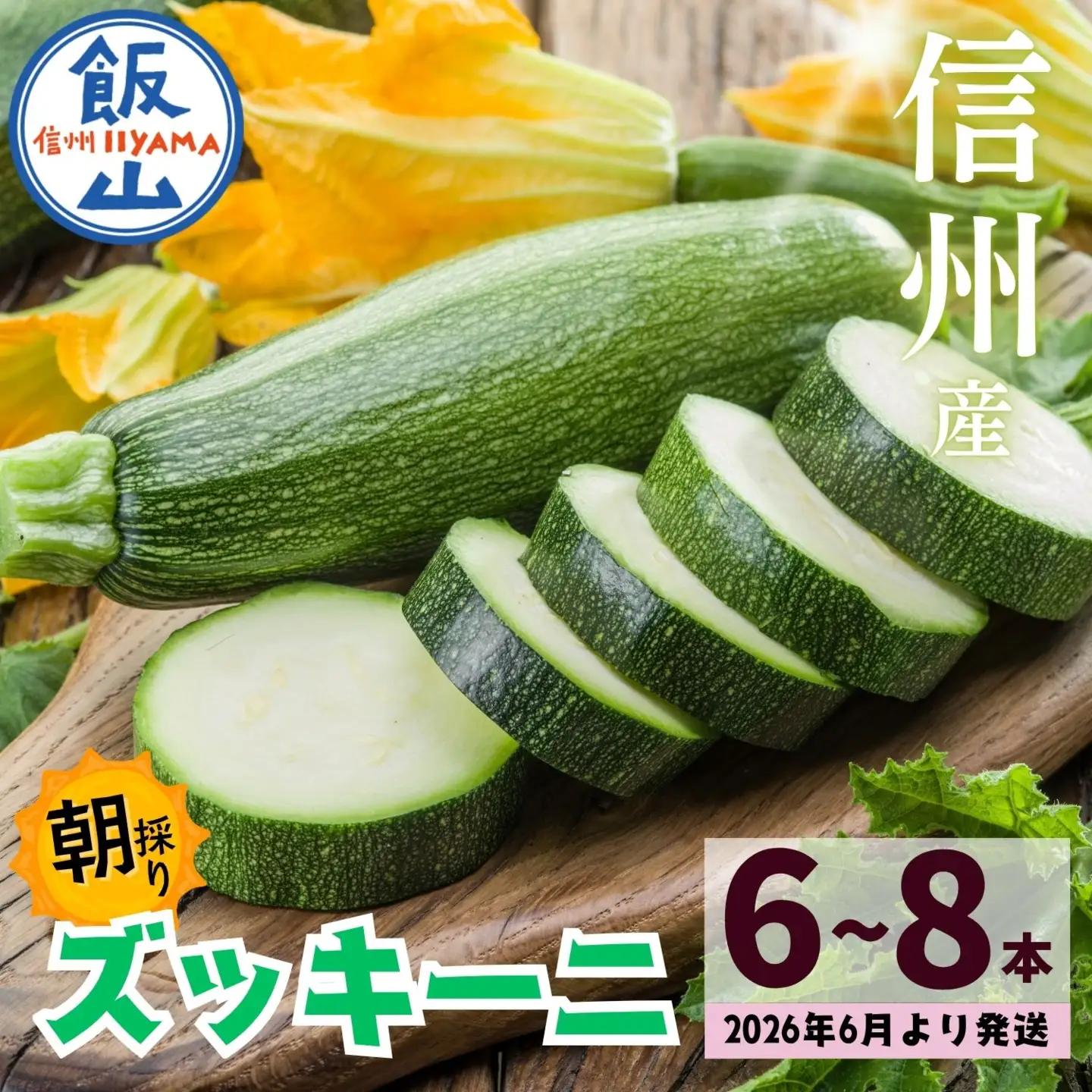 【生産者直送！】朝採り!! 新鮮ズッキーニ 約6～8本 《出荷時期：2026年6月中旬頃〜》岸田農園 (Cd-001)