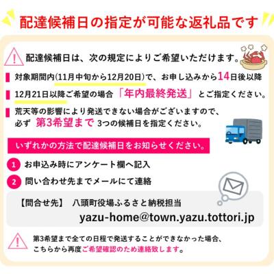 ふるさと納税 八頭町 【活き】訳あり足折れ日本海産親ガニ(セコガニ)　10枚 |  | 03