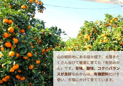 ＼光センサー選別／こだわりの完熟有田みかん 約10kg【ご家庭用】◇有機質肥料100% ふるさと納税 みかん ※2024年11月中旬～2025年1月上旬頃に順次発送予定 ※北海道・沖縄・離島への配送不