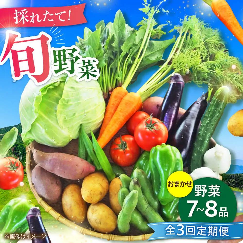 全3回定期便 旬の 野菜 セット 約3kg/ 野菜 7-8品程度 BHAK024