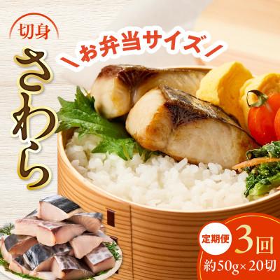 ふるさと納税 泉佐野市 【毎月定期便】さわら 切身 約50g×20切れ お弁当サイズ 小分け 訳あり サイズ不揃い 全3回