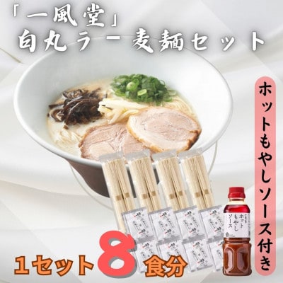 ラー麦使用「一風堂」とんこつラーメン 白丸(8食)【ホットもやしソース付き】(岡垣町)【1587745】