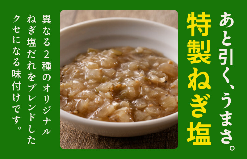 ねぎ塩 牛たん 定期便 480g×全3回 牛タン 牛肉 焼肉用 薄切り 訳あり サイズ不揃い【毎月配送コース】 099Z205
_イメージ5