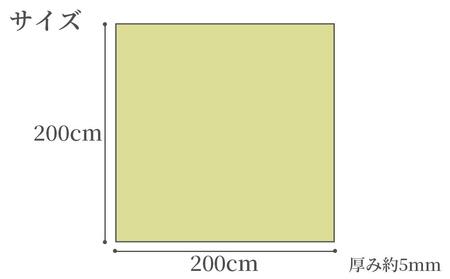 い草中敷きラグ DX祇園 グリーン 200×200cm