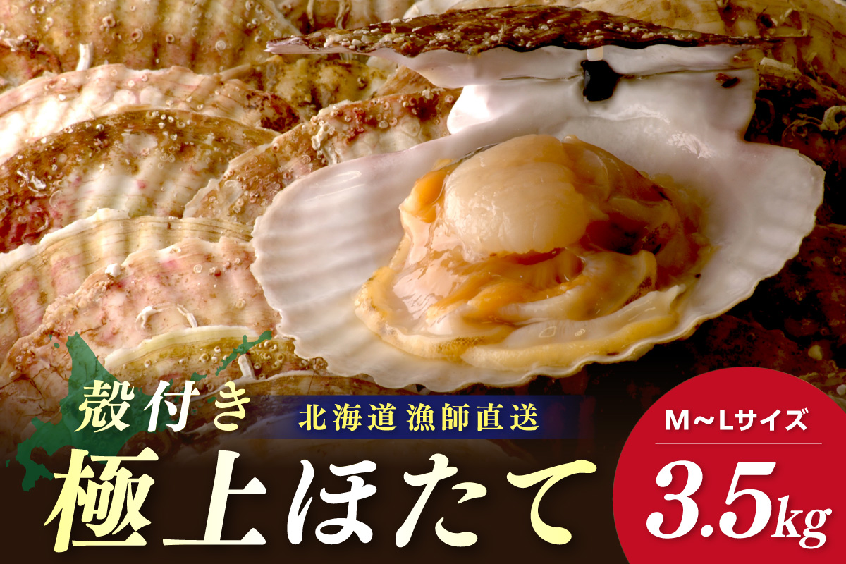 【予約：2026年3月下旬から順次発送】北海道オホーツク産 漁師直送 殻付きプレミアムホタテ 3.5kg ( 魚介 海鮮 貝 ホタテ ほたて 帆立 生食 炙り焼き バター焼き )【197-0001-2026】