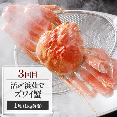 ふるさと納税 網走市 【毎月定期便】かにやの人気のズワイ蟹全3回 |  | 03