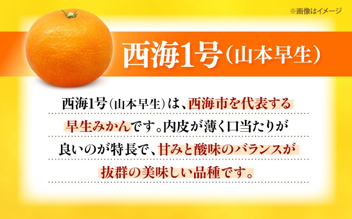 みかん 5kg