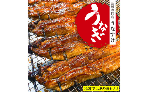 国産うなぎ蒲焼き (5匹)｜名店 鰻 ウナギ うな丼 鰻丼 冷蔵 クール便 ひつまぶし 丑の日 簡単調理 [0854]