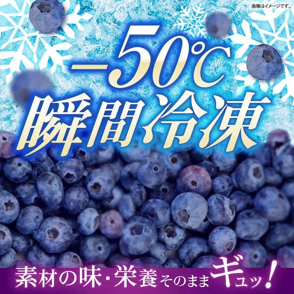 長崎冷果 ブルーベリー 3袋セット　/ 冷凍 冷凍フルーツ ブルーベリー ベリー / 諫早市 / エスジーエス株式会社[AHEQ004]
