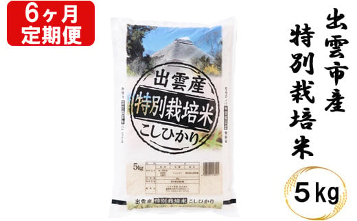 
特別栽培米　出雲市産コシヒカリ　5ｋｇ×6回　定期便6ヵ月　お米　【6-009】
