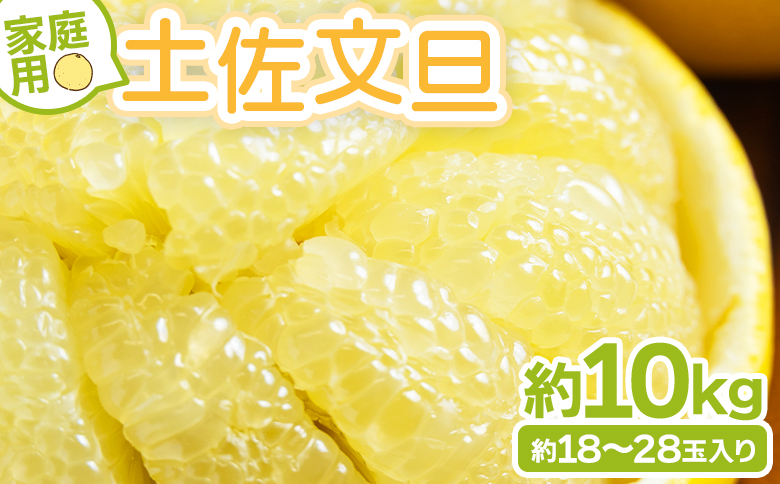 文旦 土佐文旦 家庭用 10kg 大小混合(L～3L) 約18～28玉入り yk-0070