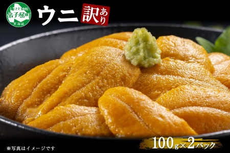 訳あり うに 冷凍 200g チリ産ウニ 雲丹 不揃い 4人前 北海道 1259