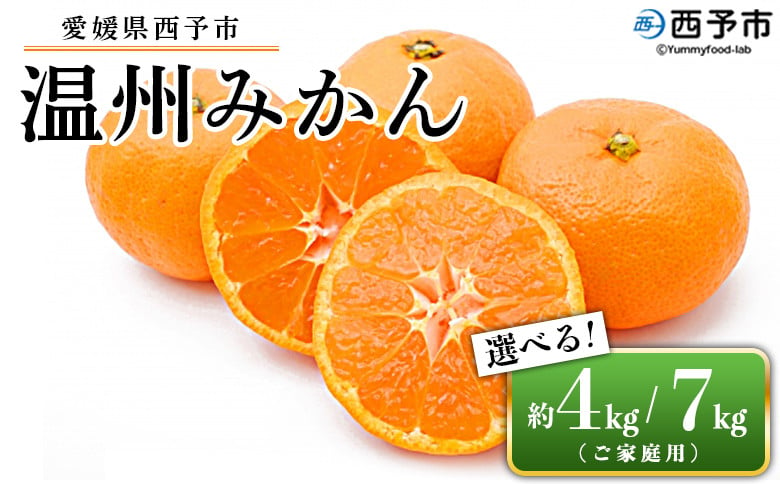 
先行予約受付 愛媛県西予市産 温州みかん ご家庭用 約4kg／7kg 訳あり わけあり 果物 フルーツ みかん ミカン 蜜柑 オレンジ 柑橘 選べる 食べて応援 特産品 宇都宮物産 愛媛県 西予市【常温】
