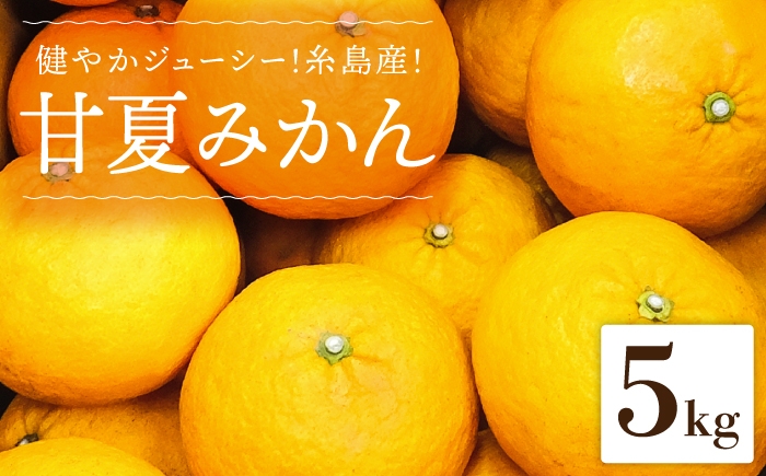 
                  健やかジューシー・夏の味 糸島産甘夏みかんM～L玉・約5kg 二丈赤米産直センター [ABB007]
                
