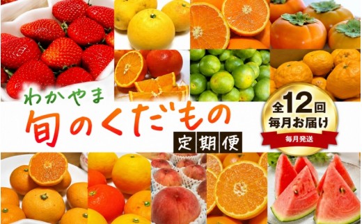 【旬のくだもの定期便】和歌山県の旬のフルーツを毎月お届け！　全12回【Ｓ】（配送日時指定不可）※北海道・沖縄・離島への配送不可 / 定期便 フルーツ みかん いちご イチゴ セミノール 河内晩柑 すい