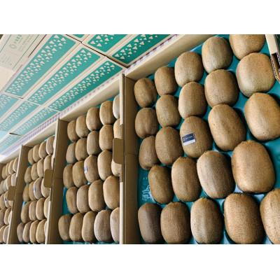 ふるさと納税 春日部市 【ヘイワード 約3.6kg】贈答用大箱　大晴農園のキウイフルーツ |  | 01