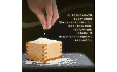 米 5kg こしひかり 新米 令和6年度産 精米済 白米 卵かけご飯 おにぎり 美味しい おすすめ 徳島県 阿波市