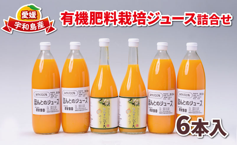 
みかん ジュース 1000ml ×4本 ミックス ジュース 720ml ×2本 ほんとのみかん清家農園 有機肥料 みかんジュース ストレートジュース 100%ジュース 蜜柑 果物 フルーツ ストレート 果汁 飲料 柑橘 農家直送 産地直送 数量限定 国産 愛媛 宇和島 H018-040004
