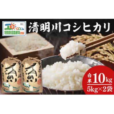 ふるさと納税 阿見町 【先行予約】新米令和7年産 茨城県特別栽培認証 清明川コシヒカリ白米5kg×2袋(04-02)