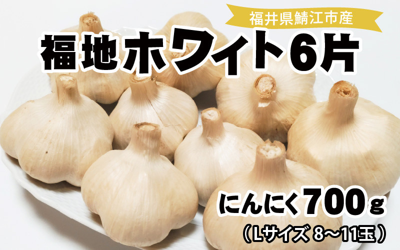 
福井県鯖江市産 福地ホワイト6片 にんにく700g [A-10203]
