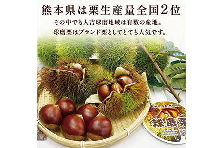 【2025年9月下旬から順次発送】 JAくま 【球磨 栗】 2kg くり 熊本県産 多良木町 くり マロン 旬の味覚 生栗
