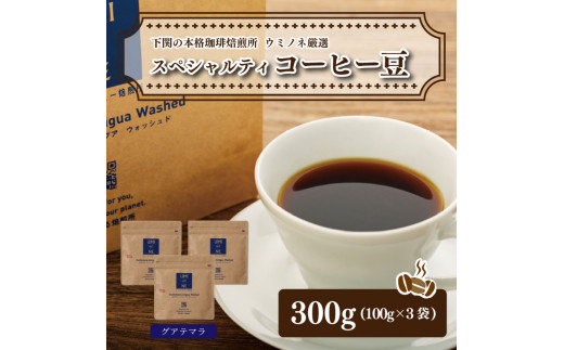 
スペシャルティ コーヒー豆セット グアテマラ 300g(100g×3袋) 下関市 山口
