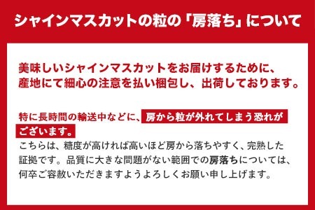 ぶどう ブドウ マスカット 訳あり シャインマスカット 約3kg 《2024年9月中旬～11月中旬頃に出荷予定(土日祝除く)》 岡山 シャイン マスカット ぶどう ブドウ マスカット フルーツ 果物 