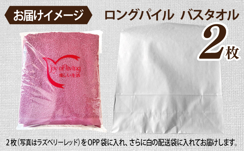 【スピード発送】ロングパイルバスタオル2枚セット(マリンブルー) 泉州タオル 015B529-1_イメージ3