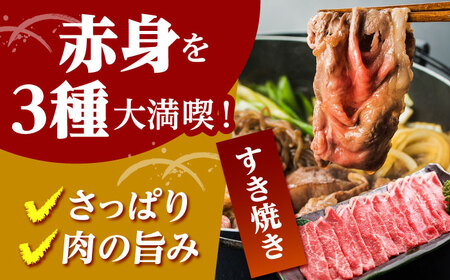 【全6回定期便】佐賀牛 A5赤身 HAD100 赤身 BBQ