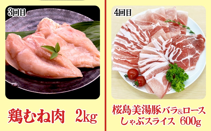 I9-0402／【6回定期便】鹿児島県産 豚肉＆鶏肉 バラエティ定期便