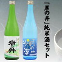 【ふるさと納税】 「岩の井」純米酒セット