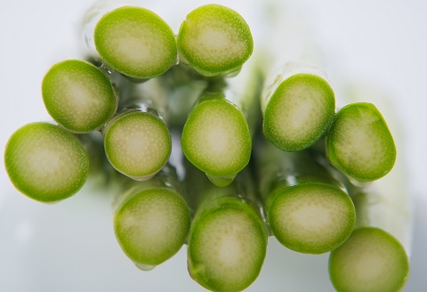 たけだファーム産地直送グリーンアスパラガス 2Lサイズ1kg：B018-062