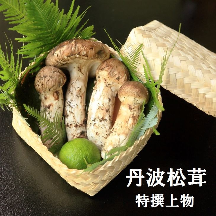 【先行予約】数量限定 丹波松茸（篭入り）特選上物＜丹波四季菜料理 宮本屋＞≪松茸 丹波松茸 天然松茸≫ ※天然物のため10月頃～11月頃に入荷次第順次発送予定 ※配送不可地域あり