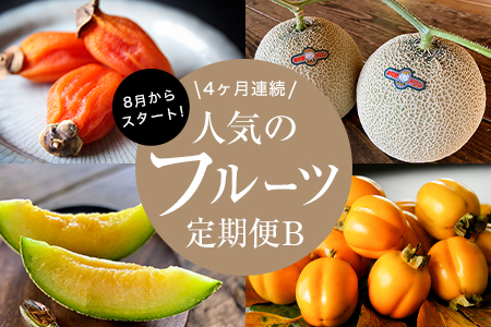 【発送月固定定期便】フルーツ定期便B 旬の美味しい果物を毎月1種全4回【配送不可地域：離島】【4014615】