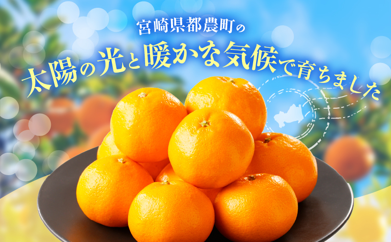 先行予約≪数量限定≫希少な柑橘『はるみ』計5kg フルーツ 果物 柑橘 みかん 国産_T008-001