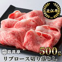 【ふるさと納税】岩井亭 近江牛 リブロース 切り落とし 500g 高島屋選定品｜B-H02