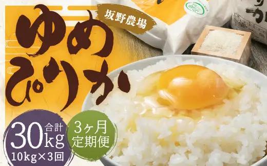 【2026年10月上旬発送開始予定】【3ヶ月定期便】らんこし米 ゆめぴりか約10kg（約5kg×2）