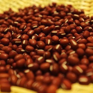 十勝豊頃産小豆1.6㎏（エリモショウズ）【2026年秋出荷】（先行受付）［松崎農場］