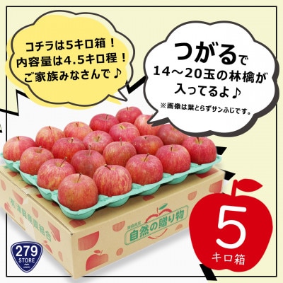 9月初旬頃発送 つがる 家庭用 5キロ箱 4.5kg 14～20玉 津軽りんご 産地直送 冷蔵【配送不可地域：離島】