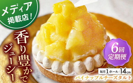 【全6回定期便】 パイナップルチーズタルト1ホール(14cm)【心優　?Cotoyu Sweets?】[KAA534] 