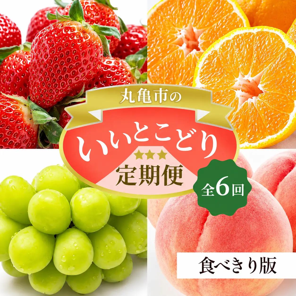 【6回定期便】フルーツ定期便 ミニ 少量 果物 くだもの畑PonPon