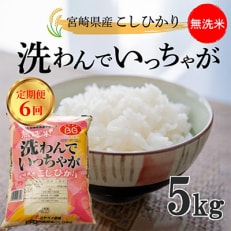 【毎月定期便】無洗米こしひかり「洗わんでいっちゃが5kg」 全6回