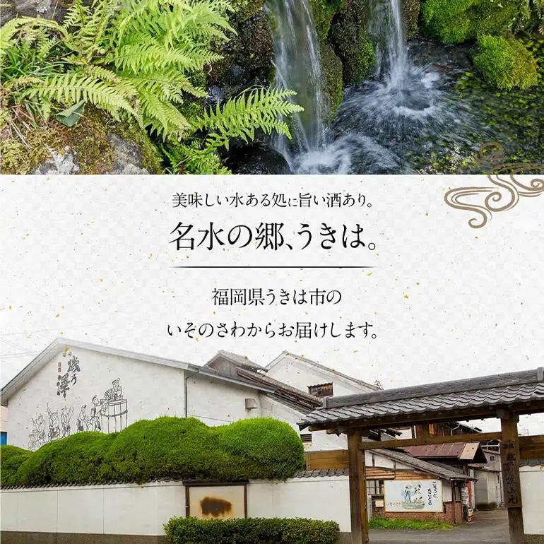 いそのさわ  “駿” ?み比べセット (純米酒・特別純米酒・純米吟醸 各720ml) 3種類 日本酒 お酒 酒 アルコール セット 詰め合わせ 贈答用 プレゼント 贈り物 福岡県 うきは市