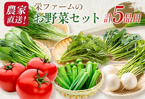 農家直送 野菜 詰め合わせ 栄ファーム