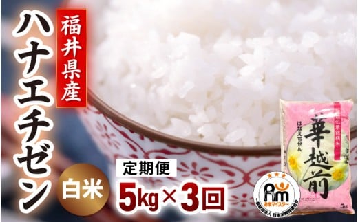 【新米令和7年産 米】 定期便 ≪3ヶ月連続お届け≫ ハナエチゼン 5kg × 3回（合計15kg）精米 福井県越前町産【白米 5キロ 華越前 はなえちぜん  お米 ごはん 人気品種 こしひかり 血統品種  kome】 [e66-d003]
