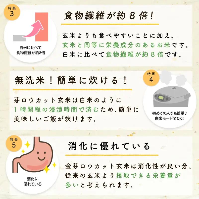 金芽ロウカット玄米 4kg【東洋ライス 2kg×2P】
