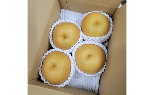 【2026年先行予約】贅沢7種の味覚便B（5回定期便）桃 もも シャインマスカット ぶどう りんご 柿 ラ・フランス 梨 果物 フルーツ 山形県 FSY-2637
