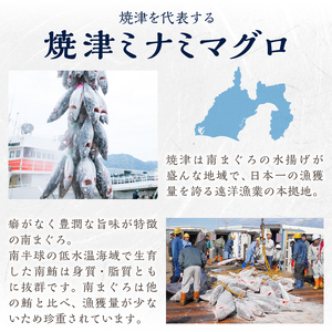 a10-359　簡単解凍！ご飯に乗せるだけの焼津直送お手軽南鮪