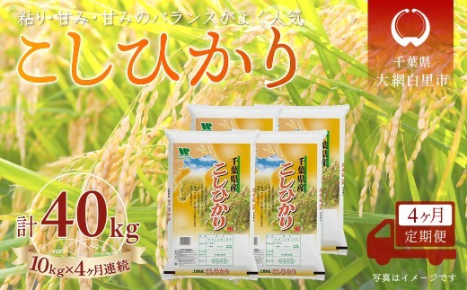 
                  ＜4か月定期便＞ 千葉県産「コシヒカリ」精米 10kg×4か月連続 計40kg
                