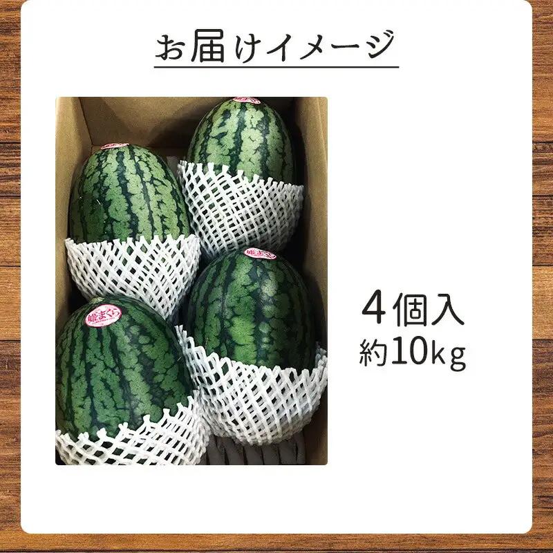【浜松市産】小玉すいか 姫まくら 4個入 約10kg すいか スイカ 西瓜 果物 くだもの フルーツ プレゼント お中元 糖度 静岡 浜松市【配送不可：離島】 